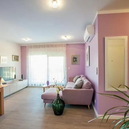 Modern With Free Wi Fi Apartment
